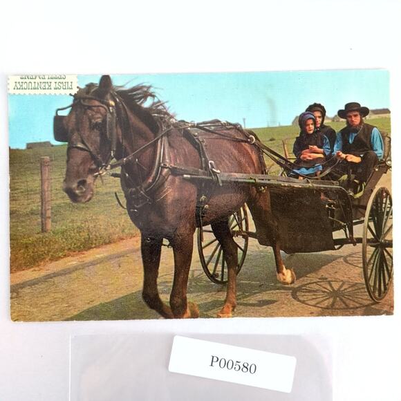 Amish Country Horse & Buggy Family 1970s Postcard Lancaster PA 1974 Photo - Picture 1 of 2